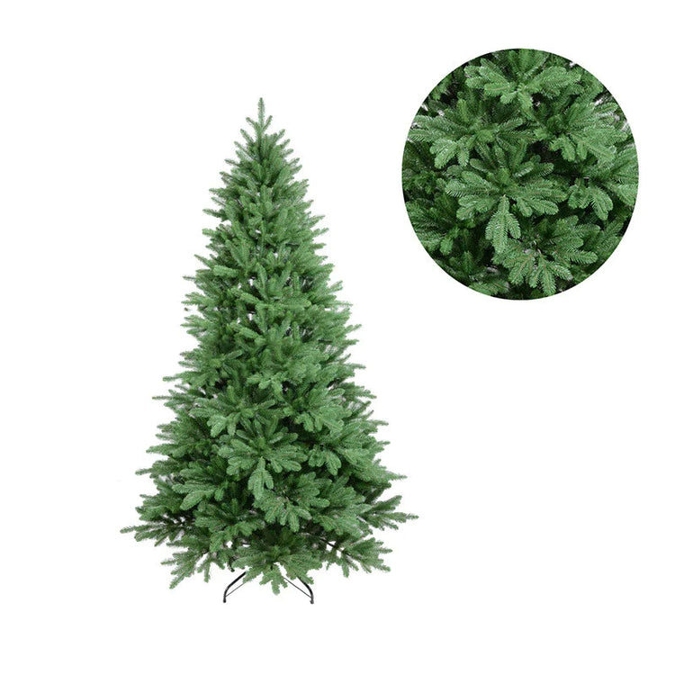 Fir Christmas Tree.